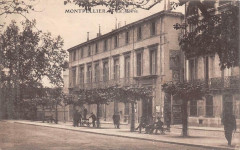 Montpellier La Mairie à Montpellier