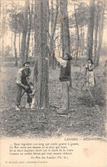 Landes Resiniers