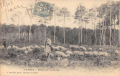 Landes Berger Sur Ses Echasses  (dos non divisé)