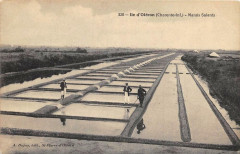Ile D´OLERON Marais Salants