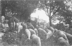 Chateauneuf De Grasse Vue Cote Ouest à Grasse