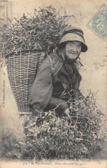 Au Pays Creusois N'En Valez Vous Dau Gui -
													23 Creuse
												