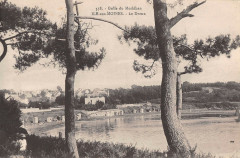 Ile Aux Moines  Le Drenn