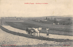 Hadol Quinfaing Et Le Caillon -
																					88220 Hadol
																			