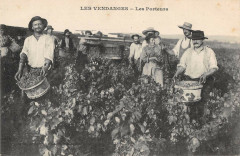 Les Vendanges Les Porteurs Vin Vigne