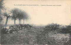 Elincourt Sainte Marie Cadavres Allemands Apres La Bataille -
													60 Oise
												