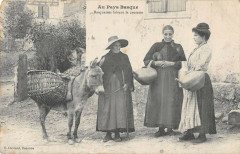Au Pays Basque Basquaises Faisant La Causette (cpa pas courante