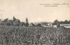Caves De Grenelle G.tessier Et Cie Un Coin Du Vignoble