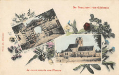 De Beaumont En Gatinais Je Vous Envoie Ces Fleurs
