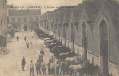 Angouleme Le Pansage Chez Nos Artilleurs -
																					16000 Angoulême
																			