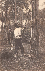 La Lande Un Resinier