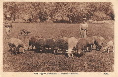 Types Creusois Gardeuse De Moutons