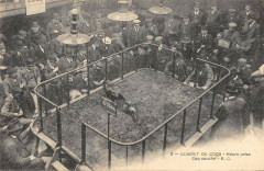 Combat De Coqs Heure Prise Coq Couche -
													59 Nord
												