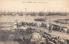 Larmor Bateaux Sardiniers En Rade -
													56 Morbihan
												