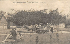 Foret De La Coubre Le Pavillon Attelage