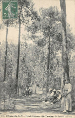 Ile Oleron Saint Trojan Sentier Un Sentier En Foret