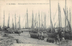 Le Crotoy Dechargement D'Un Bateau De Coques Au Port au Crotoy