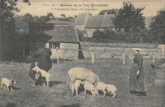 Scenes De La Vie Normande Vous Pouvez L'Peser