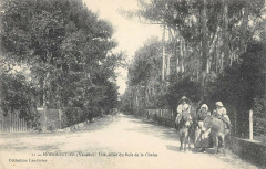 Noirmoutier Une Allee Du Bois De La Chaise -
													85 Vendée
												