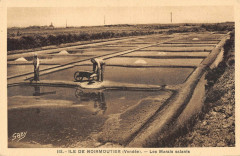 Ile De Noirmoutier Les Marais Salants