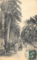 Hyeres Avenue Des Palmiers à Hyères