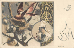 Nos Belles Normandie (très jolie cpa illustrée N°4
