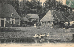 En Normandie Une Ferme