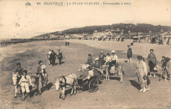 Deauville Promenade A Anes à Deauville