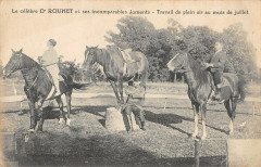 Le Celebre Docteur Rpuhet Et Ses Juments Travail De Plein Air En Juillet