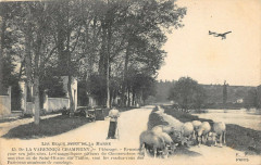 De La Varenne A Champigny Paturages Berger Et Avion