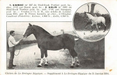Bretagne Hippique Kaimac Postier Pierre Kerneis A L'Hopital Camfrout