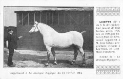 Bretagne Hippique Lisette Trait Breton A Mr Jean Calvez Ker Olier