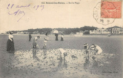 Ronce Les Bains Sur La Plage