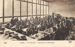 Paris Ve La Sorbonne Laboatoire De Botanique -
																					75005 Paris 5e
																			