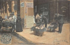 Paris 1er arrt La Rue De Rivoli Les Petits Vendeurs De Fleurs Au Panier -
																					75001 Paris 1er
																			