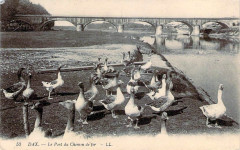 Dax (Landes) - rives de l'Adour 10
