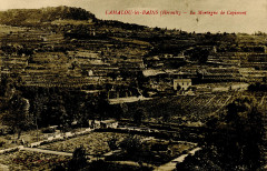 Albert F. Graf to Agnes H. Petersen, postcard - Dpla - bb6e779026cb659c4a84e7462ae9ffdd (page 1)