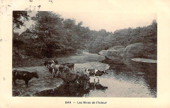 Dax (Landes) - rives de l'Adour 11