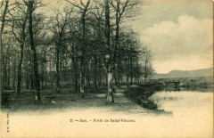 Dax (Landes) - Forêt de Saint-Vincent