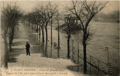 Carte postale ancienne Paris Inondé - Cliché 28 Janvier 1910 - Aspect de l'Ile des Cygnes
                                                                     à Paris 15e
                                
