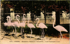 Paris (5e) Museum d'Histoire Naturelle. Les Flamants roses -
																					75005 Paris 5e
																			