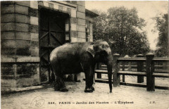 Paris (5e) Jardin des Plantes. L'Elephant à Paris 5e