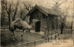 Paris (5e) Jardin des Plantes. Le Chameau -
																					75005 Paris 5e
																			
