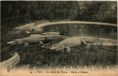 Paris (5e) Au Jardin des Plantes. Bassin et Caimans à Paris 5e