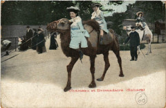 Jardin d'Acclimatation - Chameau et Dromadaire -
																					75000 Paris
																			