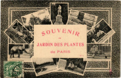 Paris (5e) Souvenir du Jardin des Plantes. -
																					75005 Paris 5e
																			