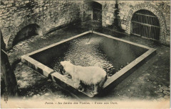 Paris (5e) Au Jardin des Plantes - Fosse aux Ours -
																					75005 Paris 5e
																			
