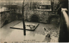 Carte postale ancienne Paris 5e - La fosse aux Ours envahie par les Eaux
                                                                     à Paris
                                