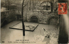 Carte postale ancienne Paris 5e - La Fosse aux Ours envahie par les Eaux
                                                                     à Paris
                                