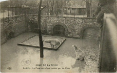 Carte postale ancienne Paris 5e - La Fosse aux Ours envahie par les Eaux
                                                                     à Paris
                                